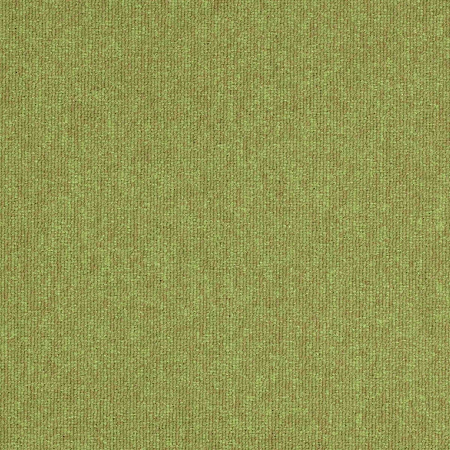 Paragon Carpet Tiles workspace loop carpet tiles with a textured pattern, suitable for office or commercial flooring.