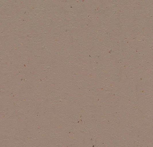 Marmoleum Solid Cocoa Linoleum Flooring - Surefit CarpetsDoncaster