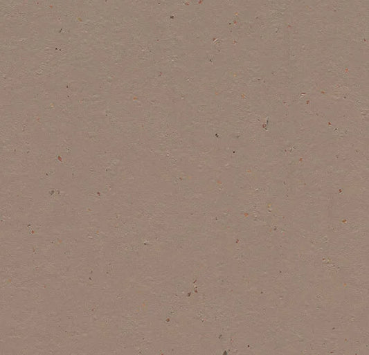Forbo Marmoleum Solid Cocoa Flooring Milk Chocolate