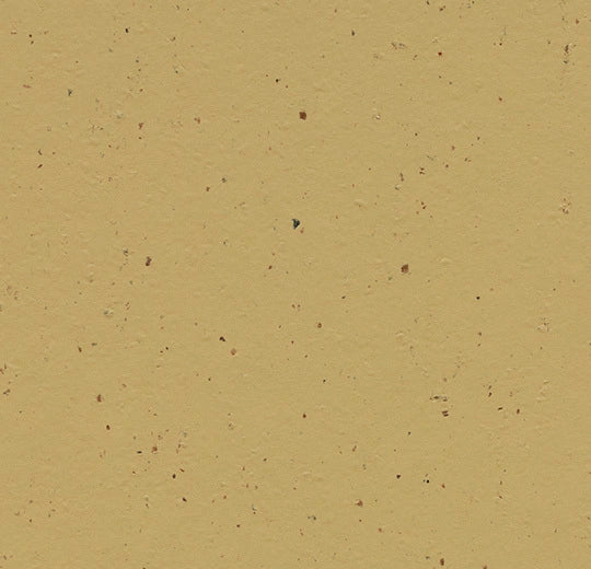 Forbo Marmoleum Solid Cocoa Flooring Curcuma