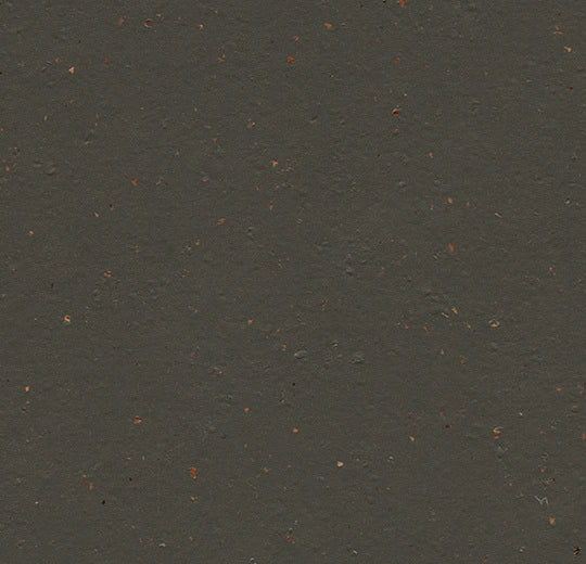 Forbo Marmoleum Solid Cocoa Flooring Black Tea