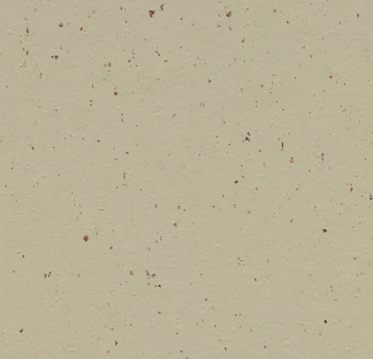 Forbo Marmoleum Solid Cocoa Flooring Pannacotta