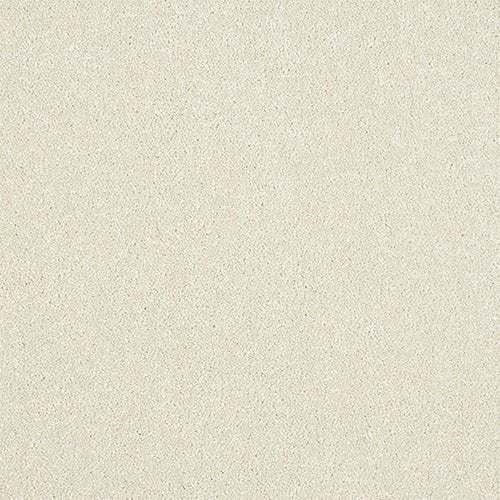 Abingdon Flooring Maximus Carpet with plush beige pile and textured pattern, ideal for living rooms and bedrooms.