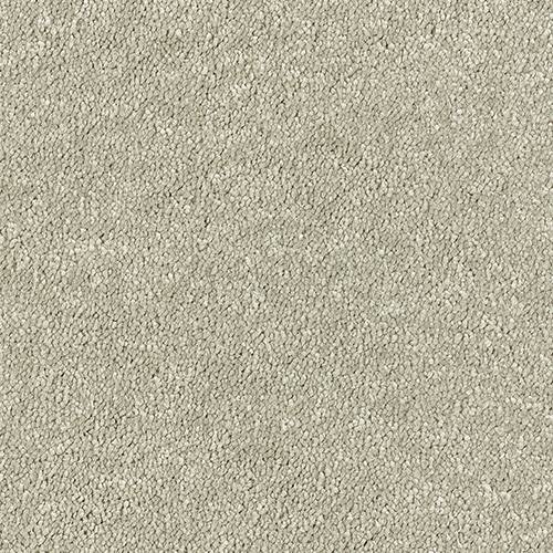 Abingdon Flooring Sophisticat carpet featuring a plush, textured pattern in neutral tones, ideal for living room or bedroom decor.