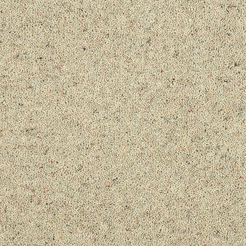 Abingdon Flooring Charter Berber Deluxe Carpet with intricate beige and brown woven pattern, plush texture, and soft pile.