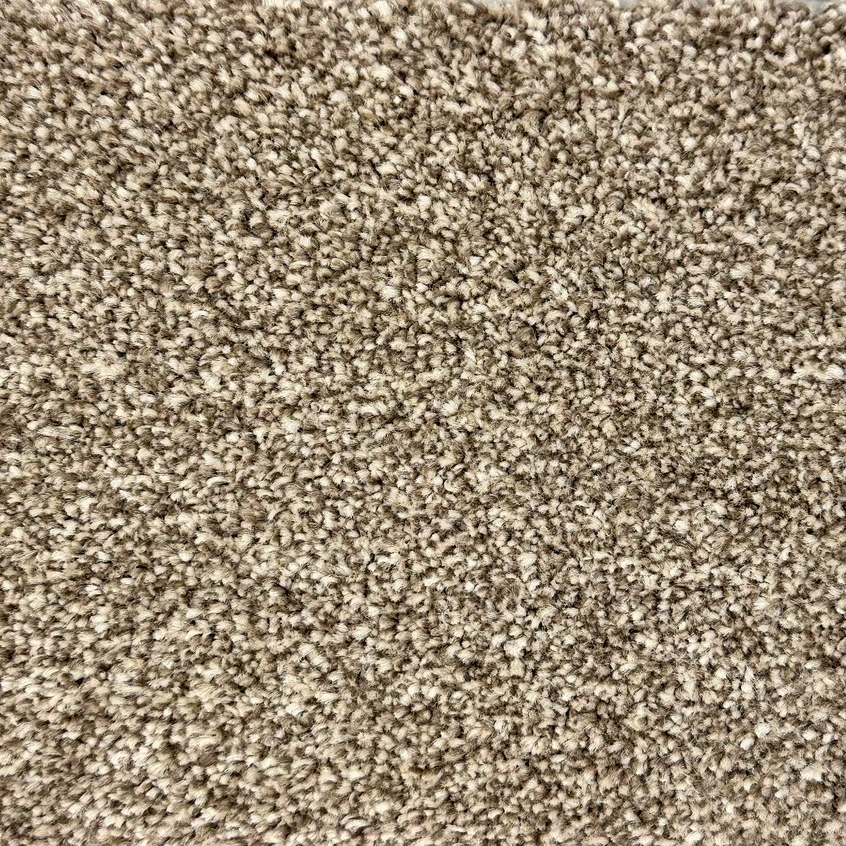 Surefit Gold FHD Saxony Carpet