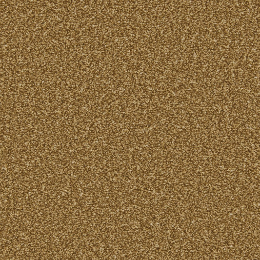 Apollo Plus Easy Clean Carpet - Surefit CarpetsDoncaster