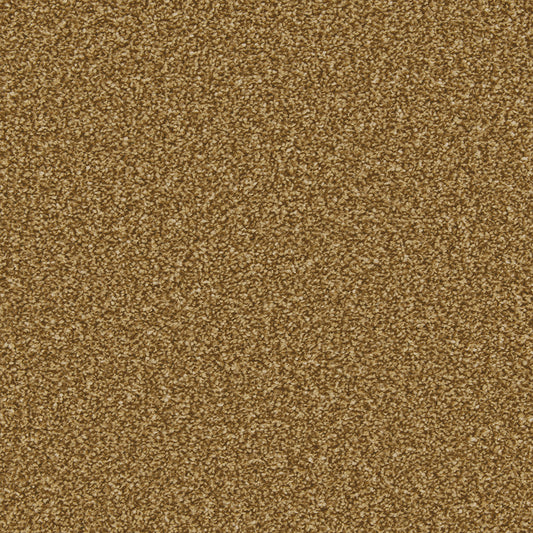 Cormar Carpets Apollo Plus Bumblebee
