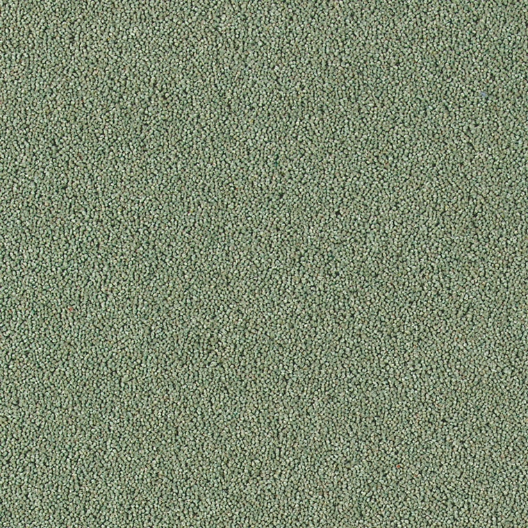 Brintons Bell Twist Heather Welsh Mountain B424