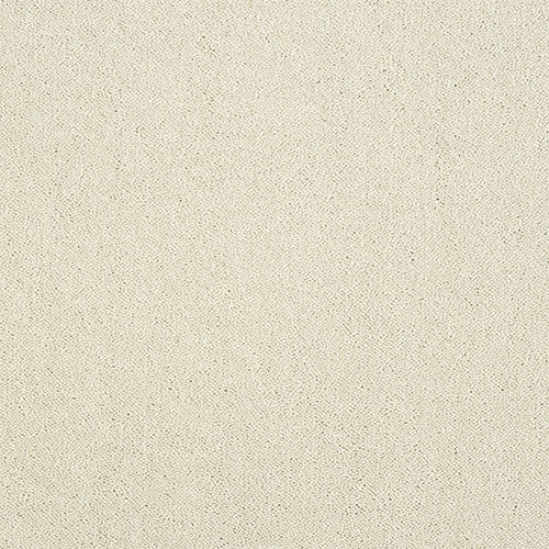 Captivation Carpet - Surefit CarpetsDoncaster