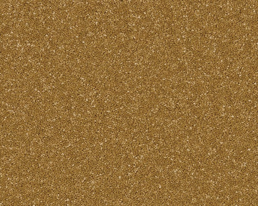 Linwood Stain Resistant Carpet - Surefit CarpetsDoncaster