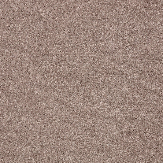 Primo Plus Easy Clean Carpet - Surefit CarpetsDoncaster