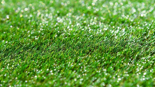 Considering artificial grass for your lawn? - Surefit Carpets