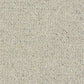 Abingdon Charter Berber Loop Pumice 13656-01