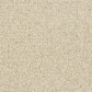 Abingdon Charter Berber Loop Irish Cream 13656-03