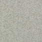 Abingdon Charter Berber Loop Dolphin Grey 13656-06