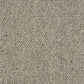 Abingdon Charter Berber Loop Dapple 13656-09