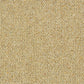 Abingdon Charter Berber Loop Honey Gold 13656-10