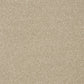Abingdon Twist Dark Ecru 13961-12
