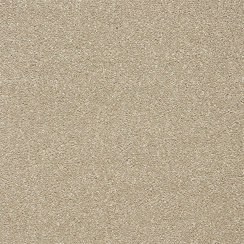 Abingdon Twist Dark Ecru 13961-12