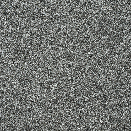 Abingdon Twist Fossil 13961-19