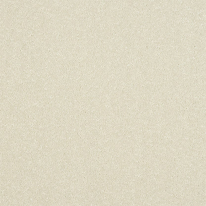 Abingdon Ultra White Whisper 13964-01
