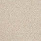 Abingdon Soft Whisper Chiffon 14169-05