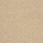 Abingdon Soft Whisper Caramel Cream 14169-06