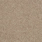 Abingdon Soft Whisper Tapestry 14169-07
