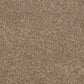 Abingdon Soft Whisper Velvet Taupe 14169-10
