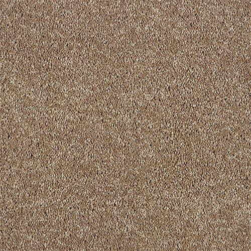 Abingdon Soft Whisper Velvet Taupe 14169-10