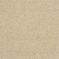 Abingdon Soft Whisper Honey Dew 14169-11