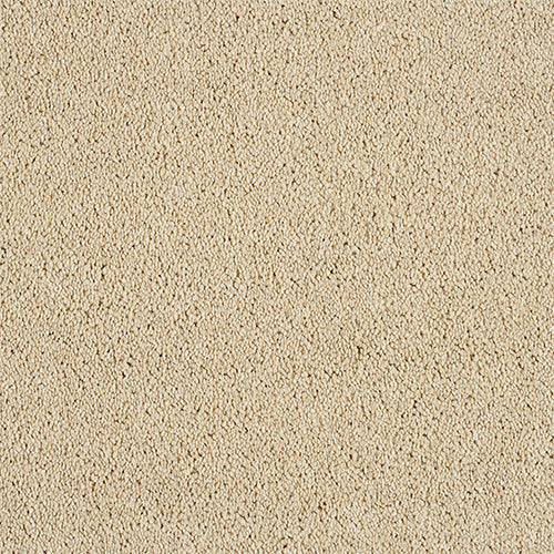 Abingdon Soft Whisper Honey Dew 14169-11