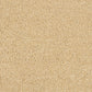 Abingdon Soft Whisper Soft Sandstone 14169-12