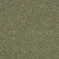Abingdon Soft Whisper Oasis 14169-14