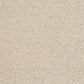 Abingdon Hidden Depths Chiffon 14172-05