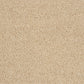 Abingdon Hidden Depths Caramel Cream 14172-06