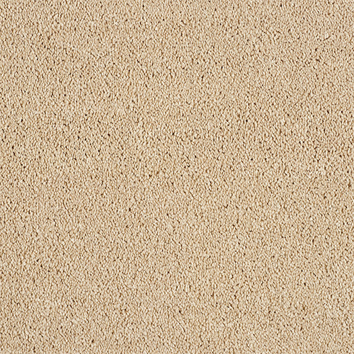 Abingdon Hidden Depths Caramel Cream 14172-06