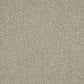 Abingdon Knightsbridge Berber Pale Fawn 14307-02