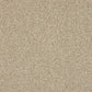 Abingdon Knightsbridge Berber Creamed Ash 14307-03