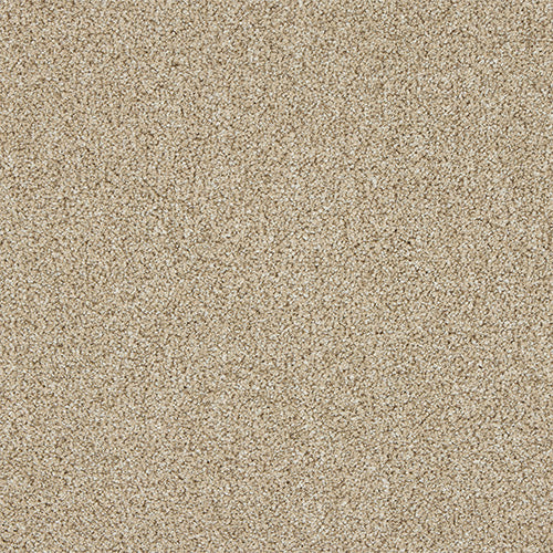 Abingdon Knightsbridge Berber Creamed Ash 14307-03