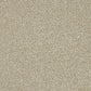 Abingdon Knightsbridge Berber Toasted Oat 14307-04