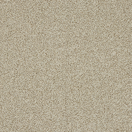 Abingdon Knightsbridge Berber Toasted Oat 14307-04