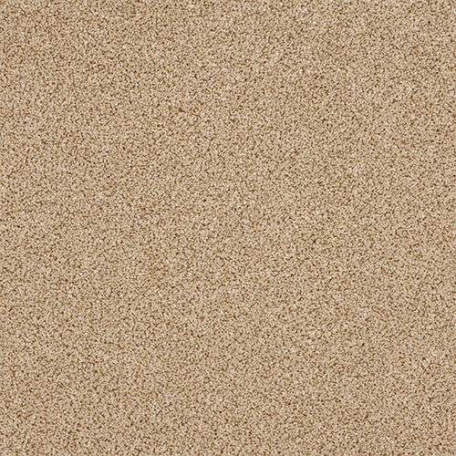 Abingdon Knightsbridge Berber Honeycomb Twist 14307-05