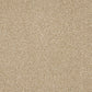 Abingdon Knightsbridge Berber Wheat Mist 14307-06
