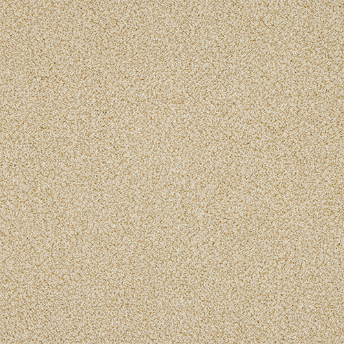 Abingdon Knightsbridge Berber Desert Fleece 14307-07