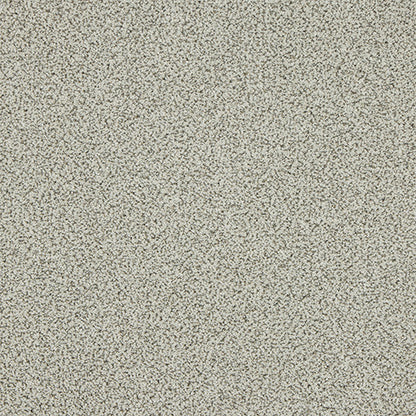 Abingdon Knightsbridge Berber Dusty Fossil 14307-16