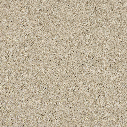 Abingdon Velvet Dreams Dust 14324-02