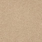 Abingdon Velvet Dreams Soft Buff 14324-07