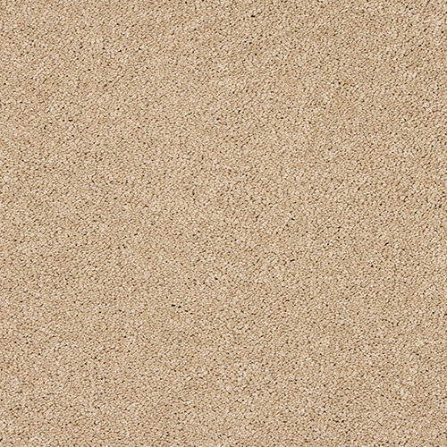 Abingdon Velvet Dreams Soft Buff 14324-07